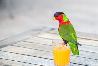 Close-up of drink on table