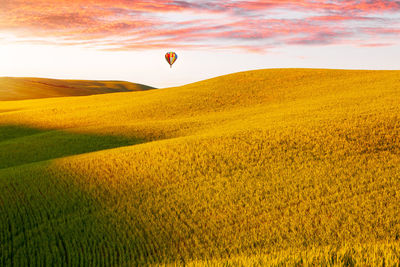 Hot air balloons on field against sky during sunset