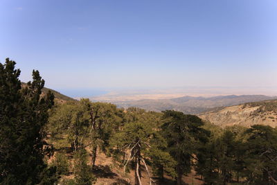 environment