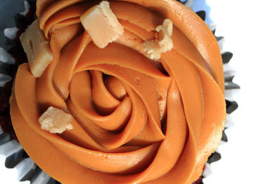 Close-up of orange rose