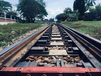 High angle view of railroad tracks along trees