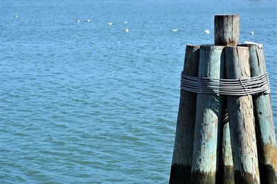 Wooden post in sea