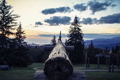 Trees on field against sky during sunset