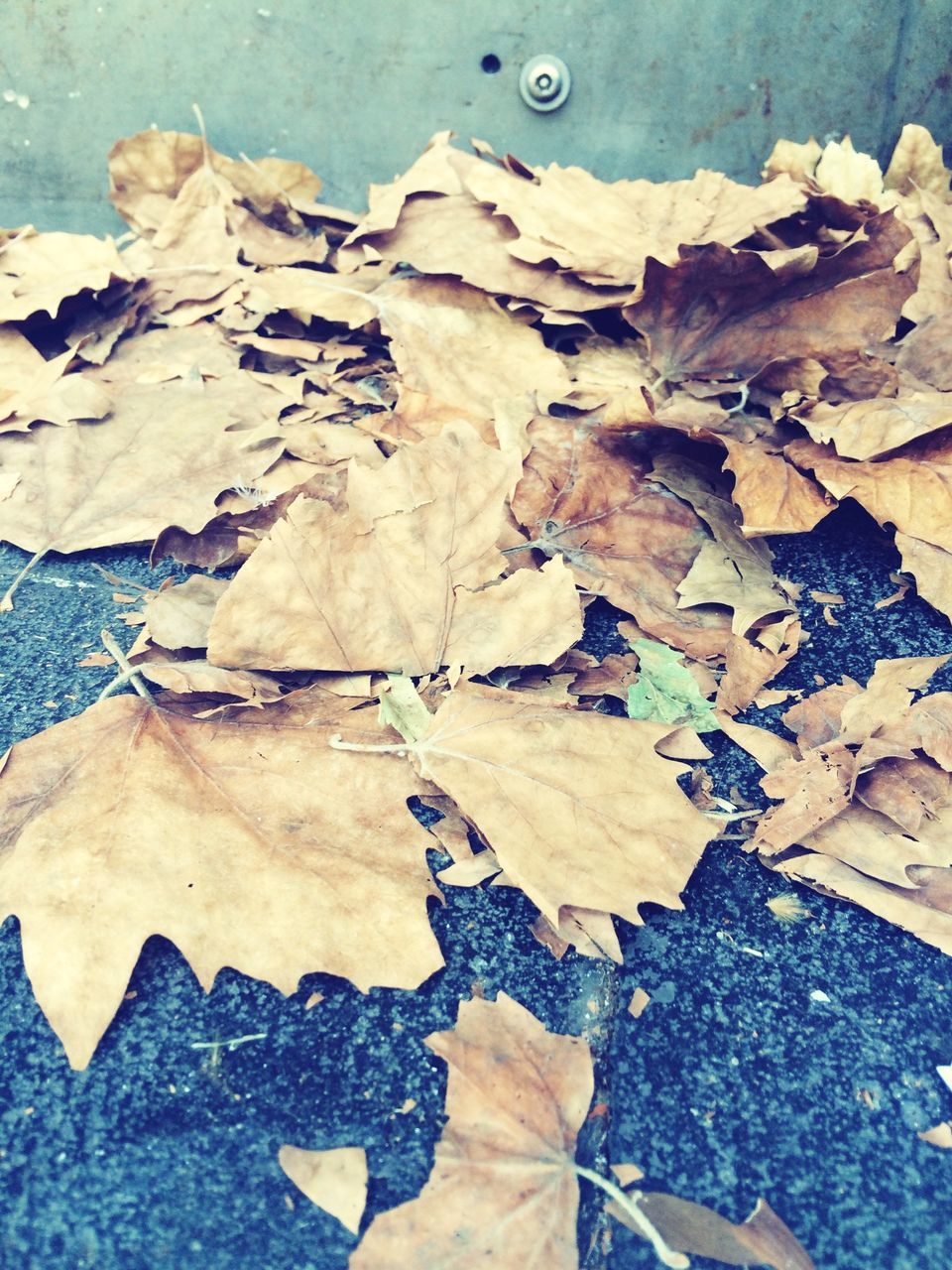 high angle view, low section, textured, close-up, rock - object, day, outdoors, nature, part of, wood - material, person, leaf, shoe, directly above, natural pattern, dry, rough, standing