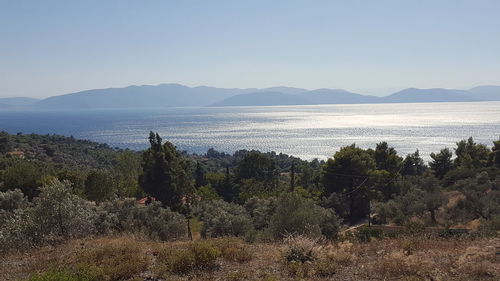 Scenic view of sea against clear sky