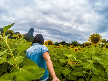 Rear view of woman standing at sunflower farm against cloudy sky