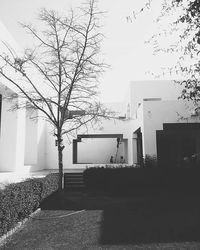 Bare trees in front of building