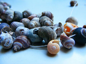 Close-up of stack of pipes