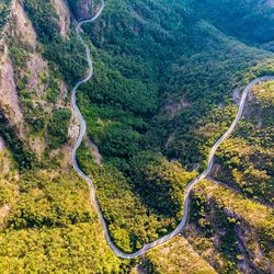 High angle view of road amidst trees in forest