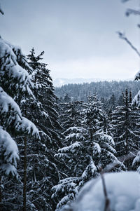 Snow covered land against clear sky