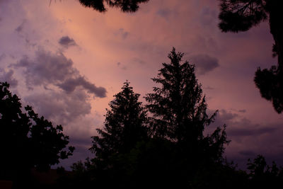 Low angle view of silhouette trees against sky during sunset