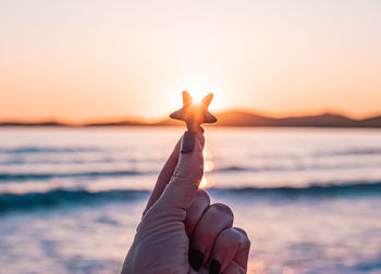 Cropped hand of person holding seashell at beach during sunset