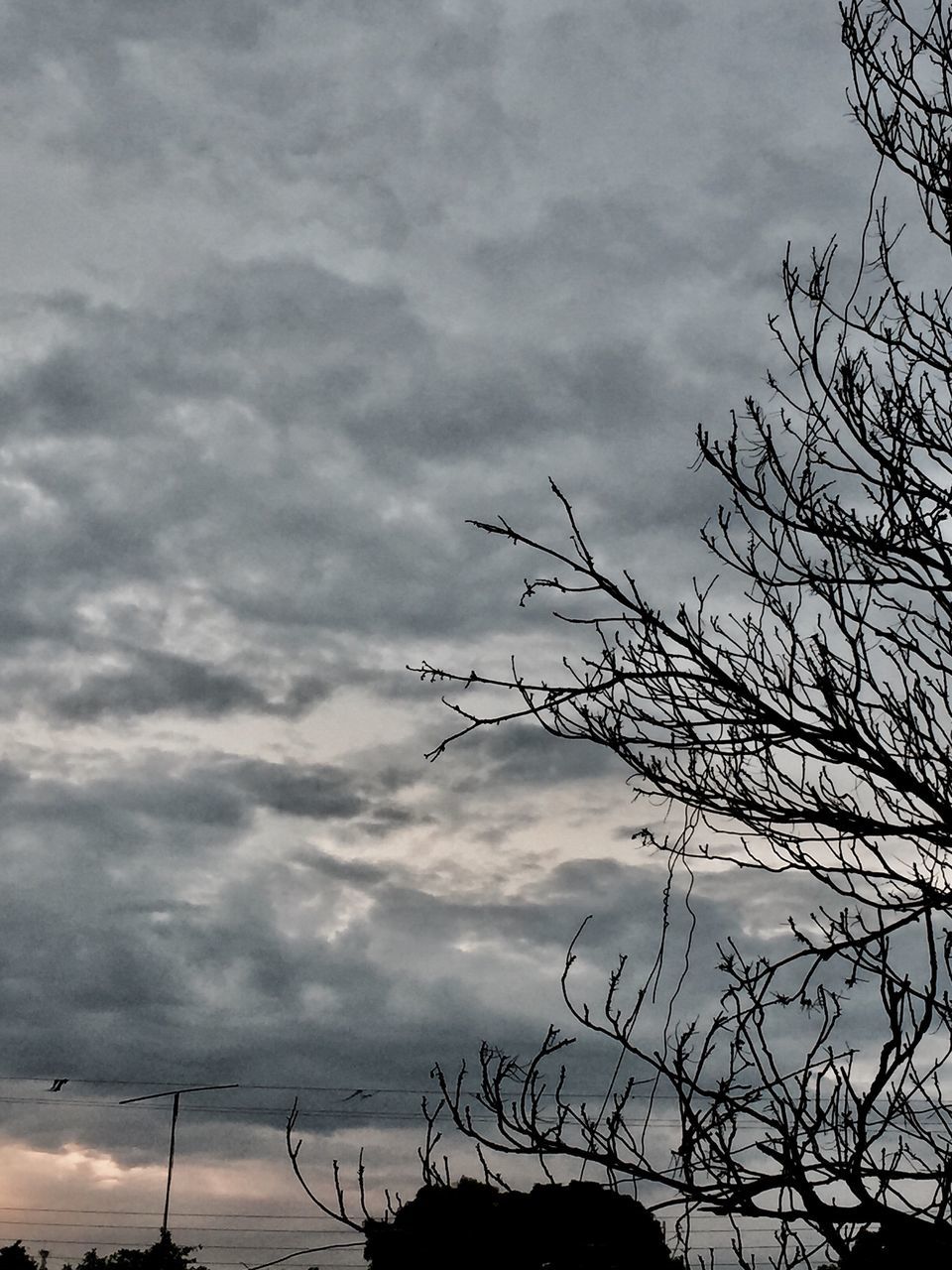 silhouette, bare tree, branch, sky, low angle view, cloud - sky, cloud, nature, scenics, tranquil scene, tranquility, day, cloudy, beauty in nature, outdoors, outline, no people, solitude, cloudscape, high section, dramatic sky, bright