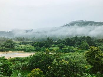 Scenic view of landscape against sky