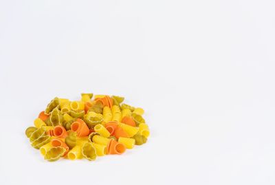 Close-up of multi colored flowers against white background