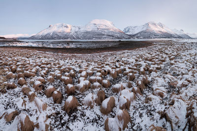 Scenic view of snowcapped mountains against sky