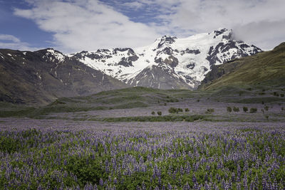 Scenic view of snowcapped mountains against sky