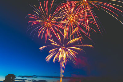 Low angle view of firework display at night