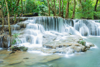 Scenic view of waterfall in forest