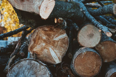 Full frame shot of logs