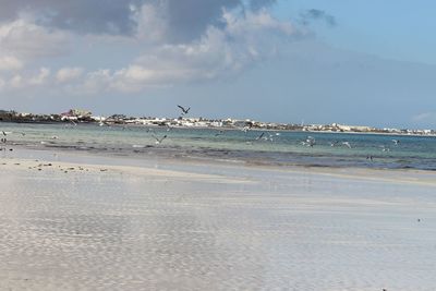 Scenic view of beach against sky