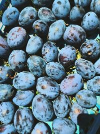 Full frame shot of fruits for sale during sunny day