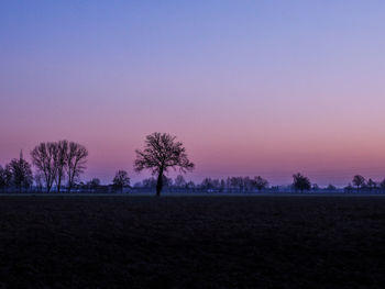 Silhouette trees on field against sky during sunset