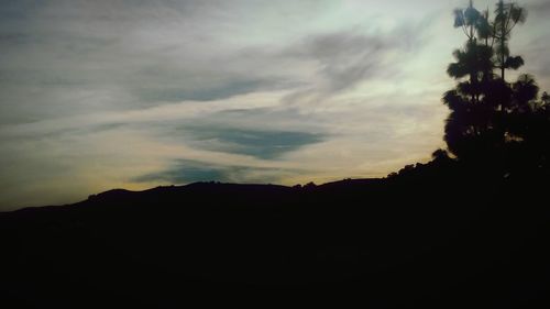 Silhouette of trees at sunset