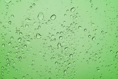 Full frame shot of pattern