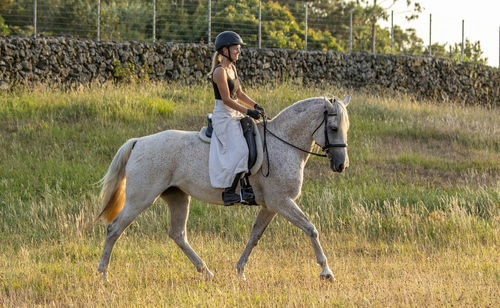 Dressage rider, female, on lusitano horse, trot on pasture outdoors.