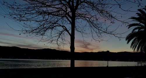 Silhouette tree by lake against sky during sunset