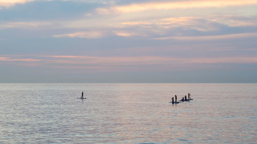 Silhouette people paddleboarding in sea against sky during sunset