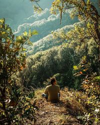 Rear view of man sitting on tree in forest