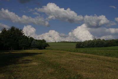 Scenic view of field against sky
