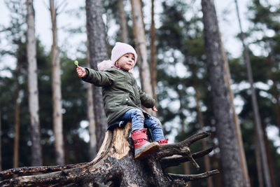 A girl is sitting on a stump in the woods with a chupa chups.