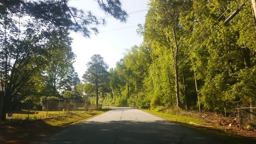 Road amidst trees against sky