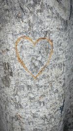 Close-up of heart shape on tree