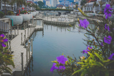 High angle view of flowering plants by river in city