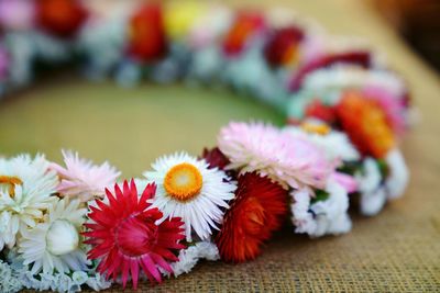 Close-up of multi colored flowers on table