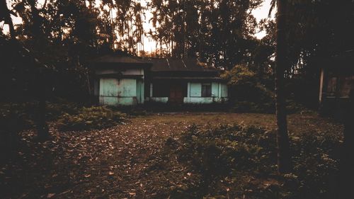 House amidst trees and buildings during autumn