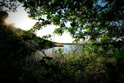 Scenic view of lake against clear sky