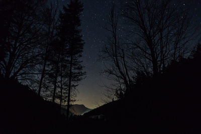 Silhouette trees against sky at night