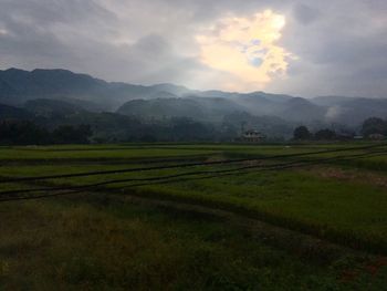 Scenic view of field against sky
