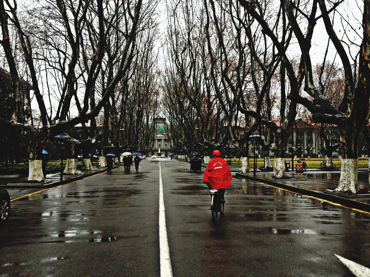 tree, rear view, full length, walking, the way forward, lifestyles, water, leisure activity, men, person, umbrella, street, rain, footpath, bare tree, wet, diminishing perspective, built structure