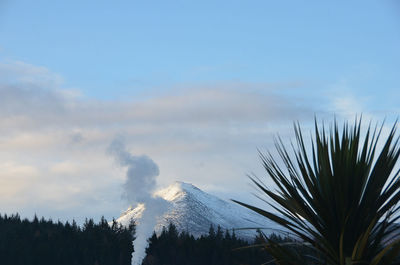 Panoramic view of trees and mountains against sky