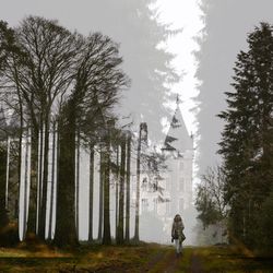 Man walking in forest against sky