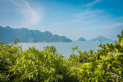 Top view of bang po beach near phraya nakhon cave at pranburi district