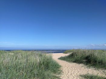 Scenic view of beach against blue sky