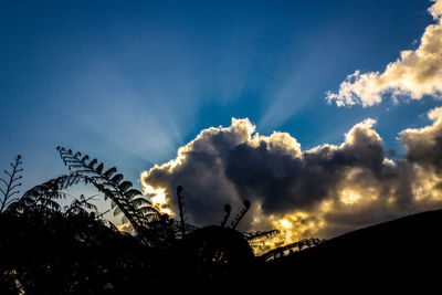 Low angle view of silhouette trees against sky