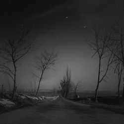 Road passing through bare trees